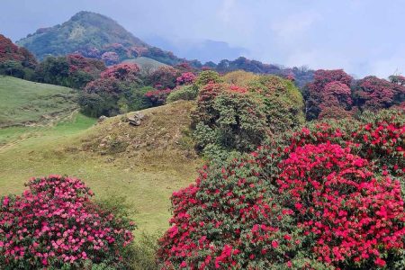 Nepal Right Now: Season Guide + Travel Tips (Spring 2026)