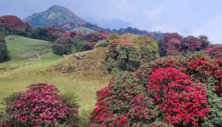 Nepal Right Now: Season Guide + Travel Tips (Spring 2026)
