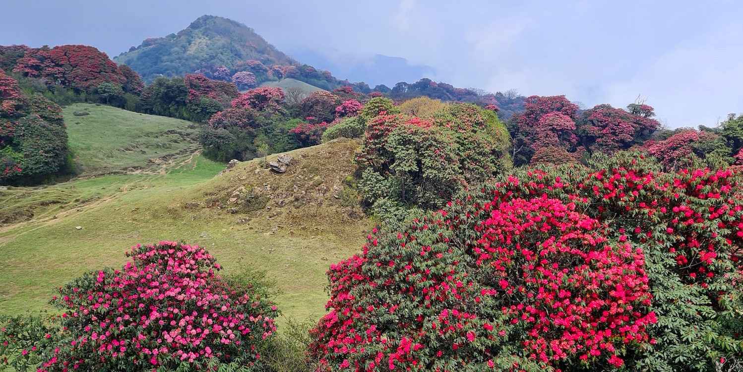 Nepal Right Now: Season Guide + Travel Tips (Spring 2026)